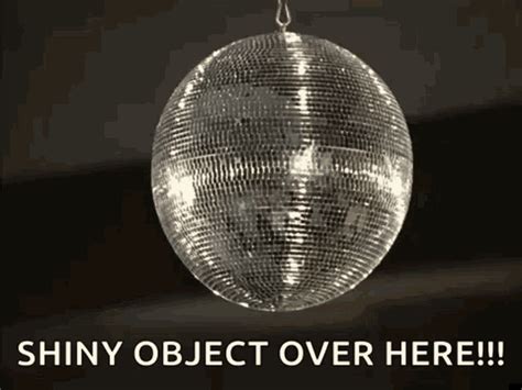 Disco Ball Party GIF - Disco Ball Party Fun - Discover & Share GIFs