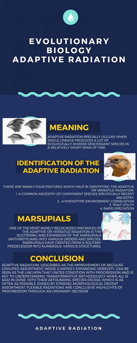 Adaptive Radiation Explanation And What Are Its Effect