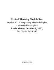 CT2 MIS350 Docx Critical Thinking Module Two Option 2 Comparing