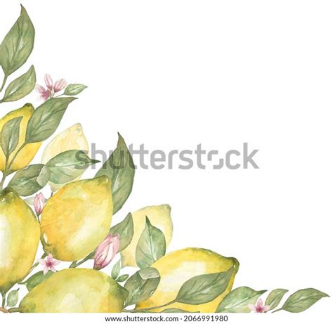 Watercolor Lemon Frame Clipart Tropical Exotic Stock Illustration