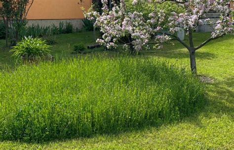 Lebensräume für Wild bienen Garten und Balkon insektenfreundlich