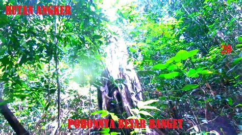 Hutan Angker Explorasi Lokasi Tambang Baru Penambang Timah Part