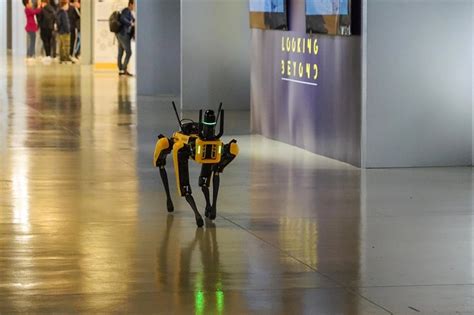 Mugello Spot Il Robot Di Boston Dynamics Protagonista All Earth