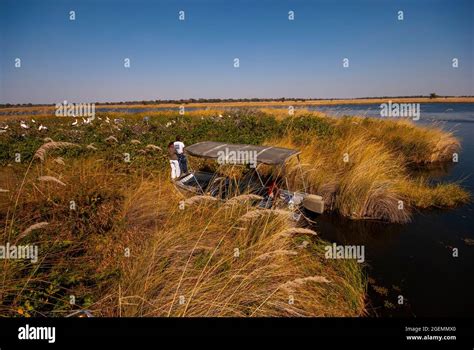 Boat Safari On The Okavango Delta Moremi Game Reserve Botswana Stock