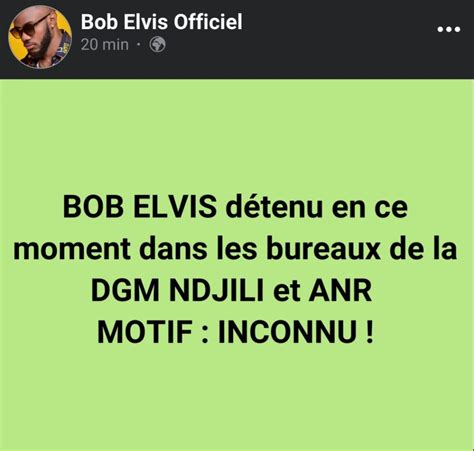 Urgent Bob Elvis Interpell Par La Dgm Et L Anr