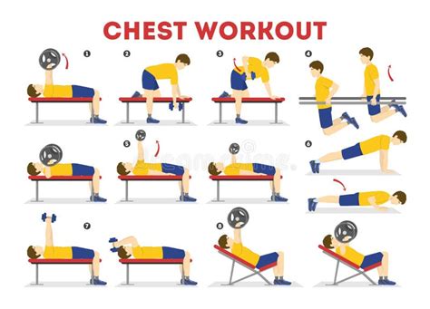 Chest Workout Set. Collection of Exercise for Arm Stock Vector ...