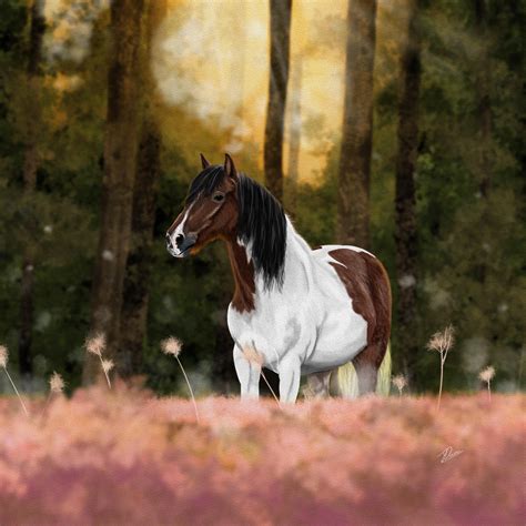 Horse at Sunset : r/DigitalPainting