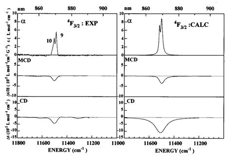 Experimental Left And Simulated Right Axial Absorption Magnetic