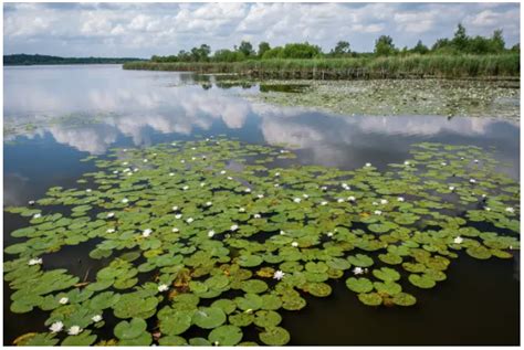 ATTA UNESCO Designates 11 New Biosphere Reserves