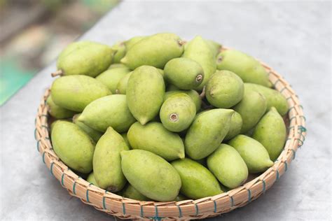 Fresh green Elaeocarpus hygrophilus Kurz in a basket 15477931 Stock ...
