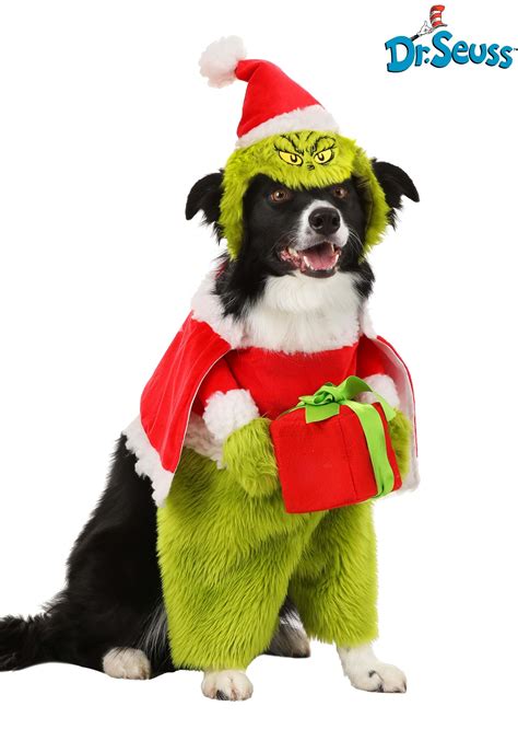 The Grinch Santa Costume for Pets