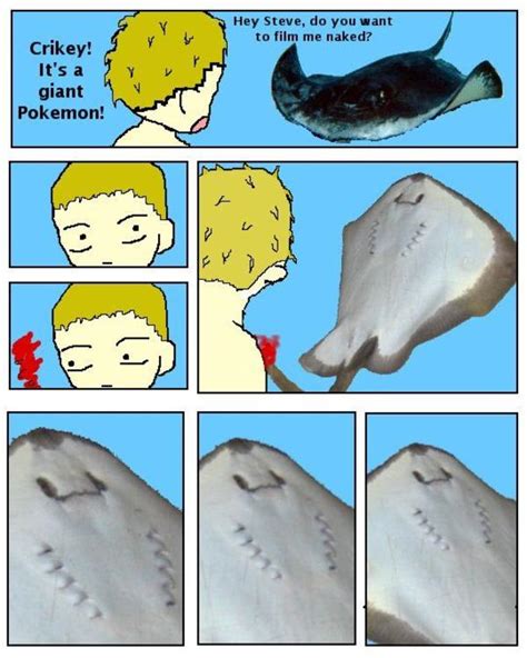 [Image - 71474] | Steve Irwin's Stingray Death | Know Your Meme