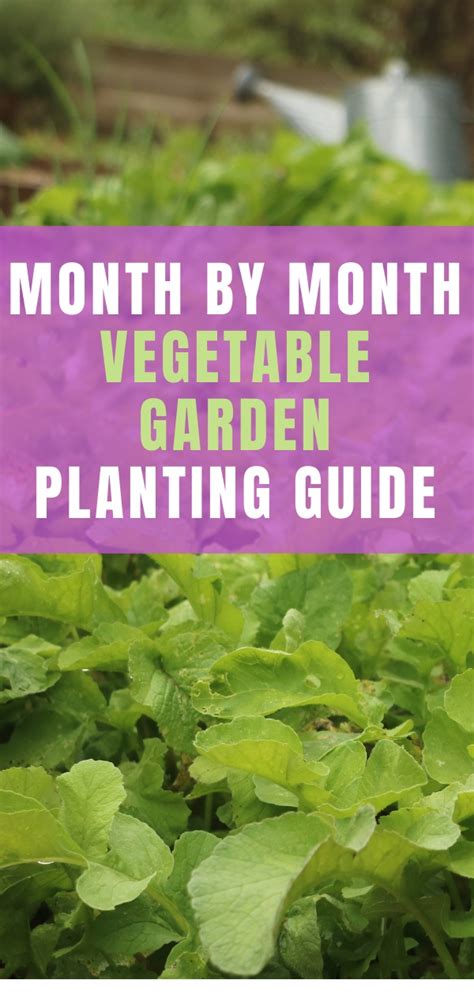 Vegetable Garden Planting Guide Fasci Garden