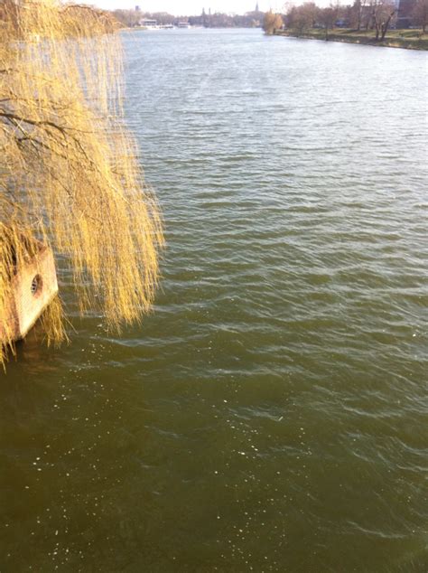 More wave phenomena on a lake, and a bit about wind - Adventures in