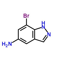 7 Bromo 1H Indazol 5 Amina CAS 953411 10 4 Proveedor De Fabricante