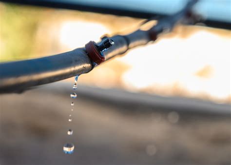 El milagro de Israel para pasar de país desértico a que sobre agua (y 3