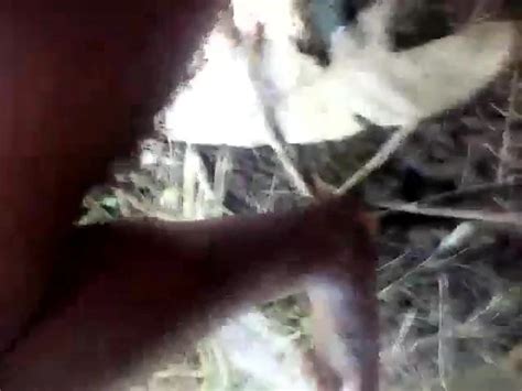 Png Bush Fucks Homemade Porn XHamster