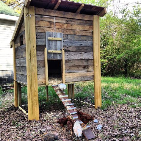 Easy Chicken Coop Pallets at Richard Rice blog