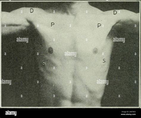 raised  upper arm  res stock photography  images alamy