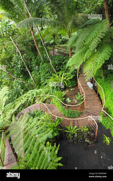 Curved Wooden Walkway In The Tropical Garden Of A Hotel In Ubud Bali