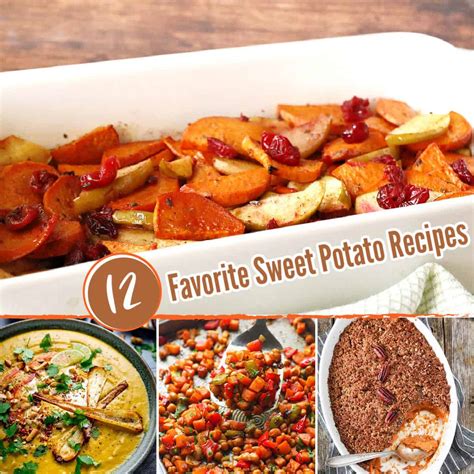 12 Best Sweet Potato Recipes - One Hot Oven