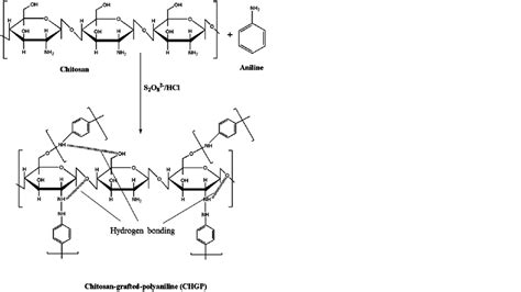 Figure S1 Reaction Pathway For The Synthesis Of Chitosan Grafted