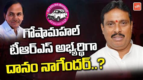 Danam Nagender To Contest As Goshamahal TRS MLA Candidate CM KCR