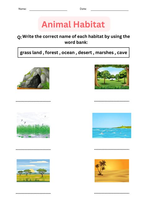 Animal Habitats Worksheet - prntbl.concejomunicipaldechinu.gov.co