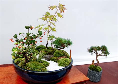 The Timeless Journey: History And Philosophy of Japanese Gardening