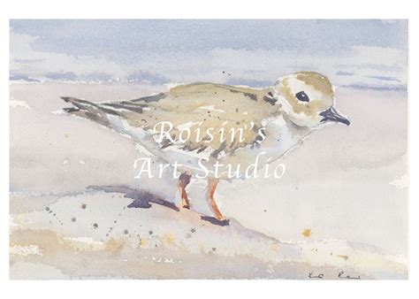 Piping Plover Bird Beach Landscape Watercolor Giclee Print - Etsy