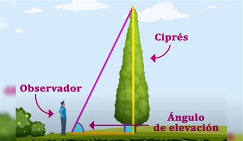 Aplicaciones De La Trigonometria Nueva Escuela Mexicana Howtodoes