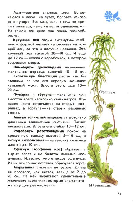 Плешаков А.А. От земли до неба атлас-определитель 2012