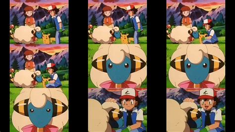 Sheep Videos XVIDEOS