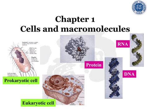 Complex Macromolecules