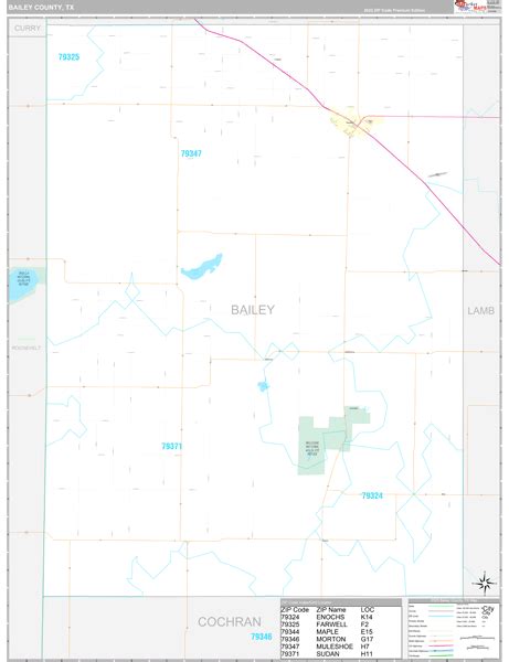 Bailey County Wall Map Premium Style