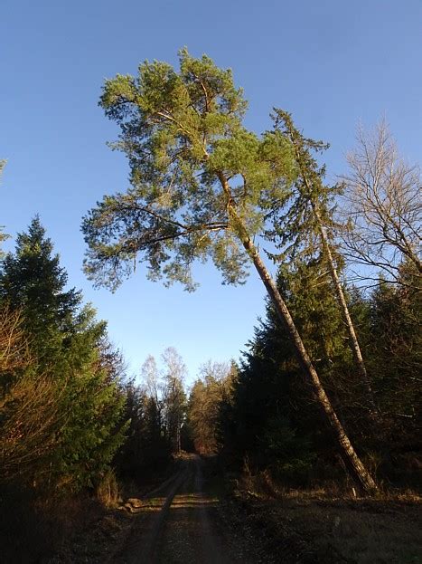 taunus wiesbaden im oberen wispertal