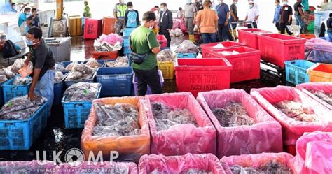 Stok Bekalan Ikan Dan Hasil Laut Negara Mencukupi Portal Pahangku