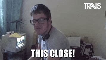 gifs find share  giphy