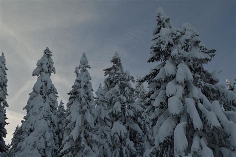 winter mountain landscape 11604970 Stock Photo at Vecteezy