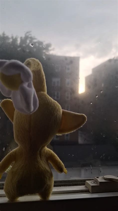 Yellow Pikmin Enjoys Sunset Rpikmin