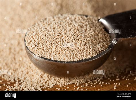 Yeast Rising Bread Hi Res Stock Photography And Images Alamy