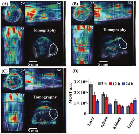 Pai Of Tumor Bearing Mice Treated With Dox Nps After A B And