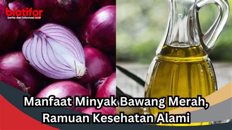 Manfaat Minyak Bawang Merah Ramuan Kesehatan Alami Biotifor