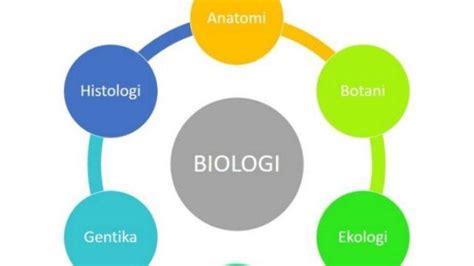 Biologi Cabang Ilmu Biologi Materi Belajar Biologi Kelas