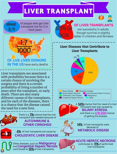 Legal Formalities For Liver Transplant Things You Need To Know Medigence