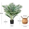 LOMANTO Fake Majesty Palm Plant 2Ft Artificial Plants For Home Decor