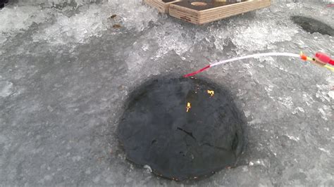 На это клюёт...Секреты успешной ловли/Рыбалка2023 - YouTube