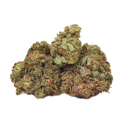 Pink Rockstar Buy Weed Bulk Buddy Online Dispensary Canada