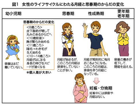 （2）女性への階段を上る〜からだはどう変化していくのでしょうか？ 3．糖尿病とともに大人の女性への階段を登る―思春期― 糖尿病と女性の