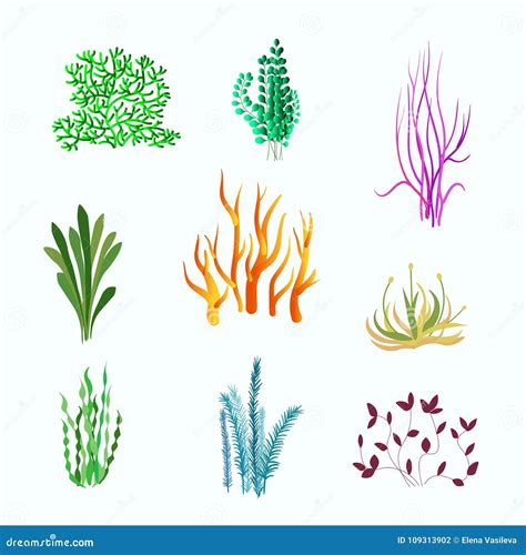 Vector Set of Underwater Plants. Underwater Plant, Ocean and Sea Plant ...